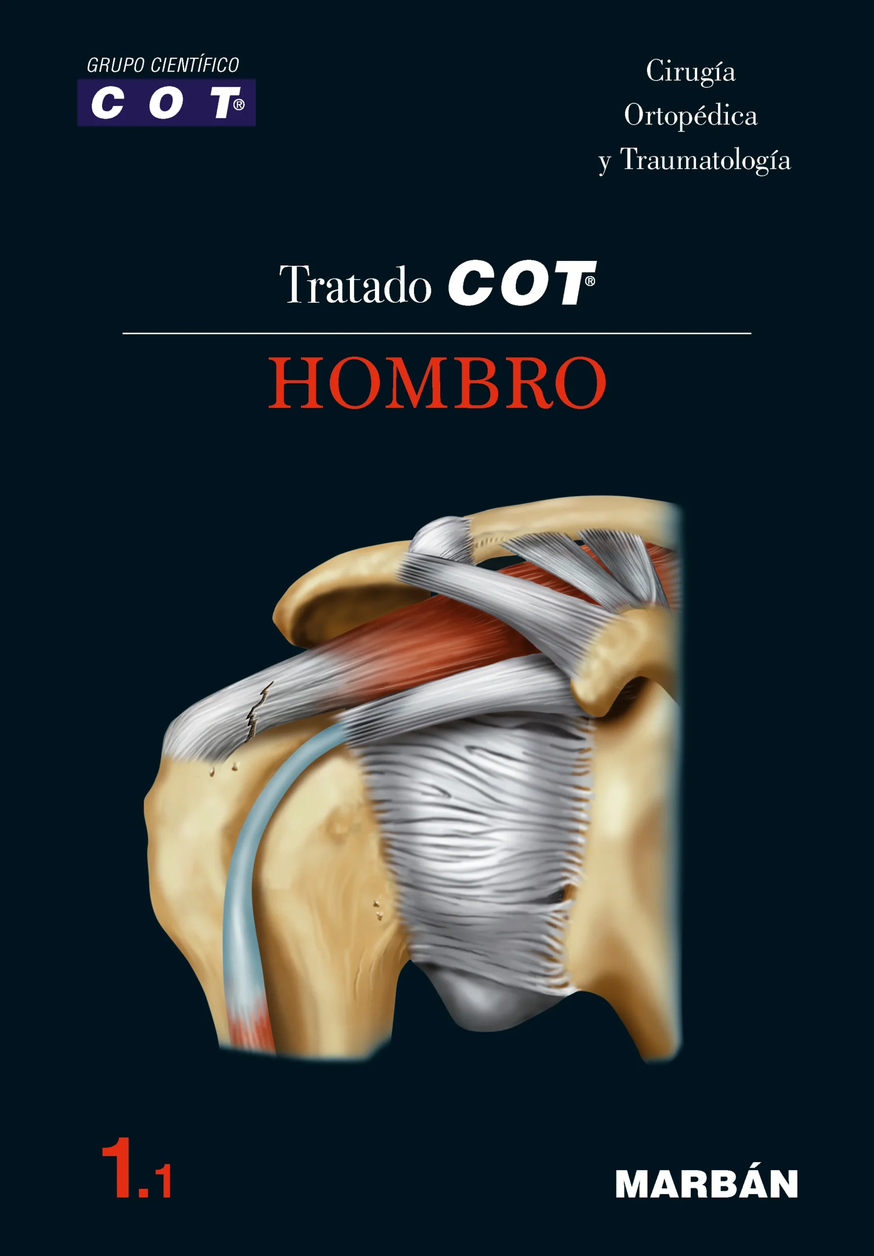 PORTADA_COT_HOMBRO_1.1